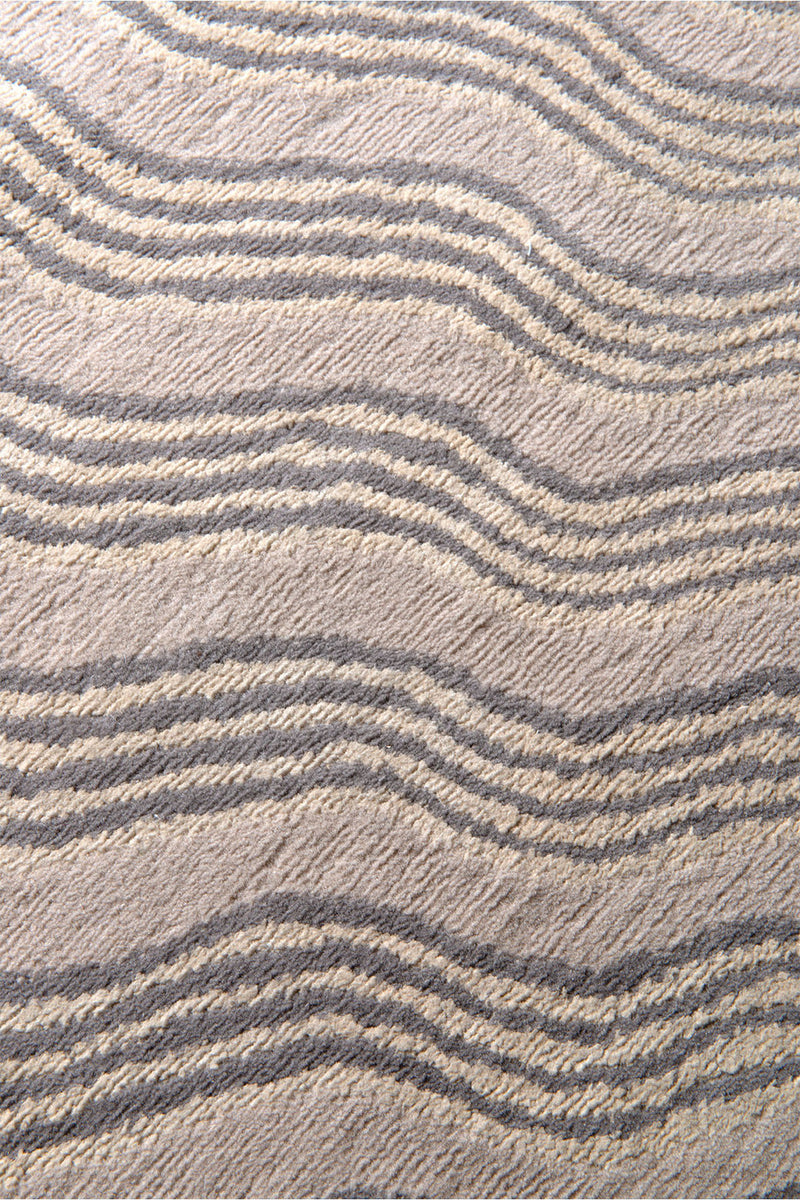 Solurein Carpetify