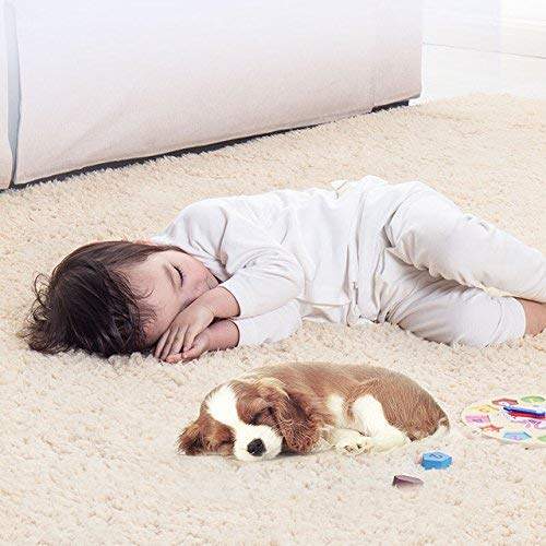 Skin Beige Carpetify