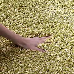 Green Carpetify