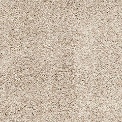 Light Beige Carpetify