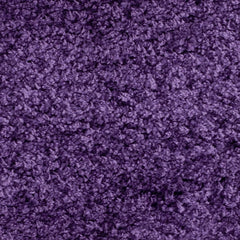 Purple Carpetify