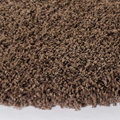 Light Brown Carpetify