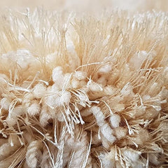Butter Cream Plain Polyster Carpetify