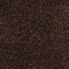 Brown Carpetify