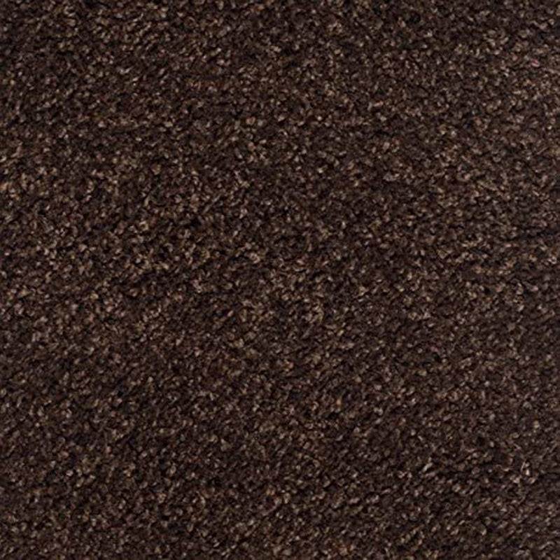 Brown Carpetify