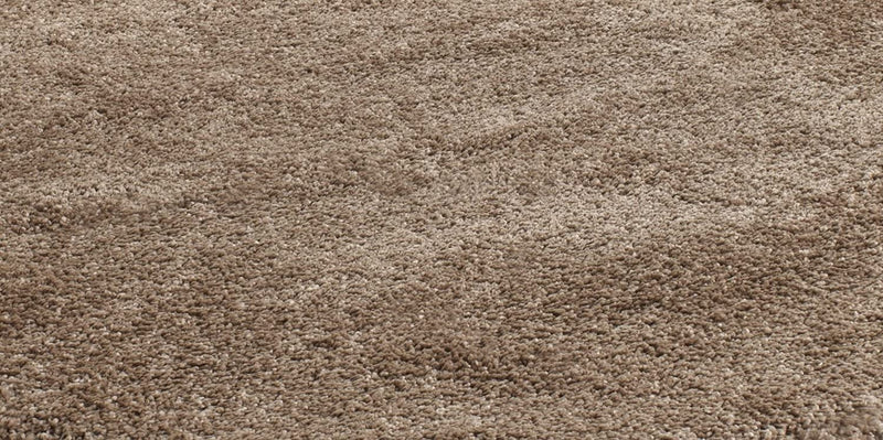 Beige Carpetify