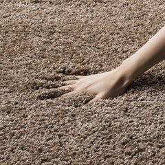Beige Carpetify