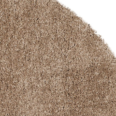 Beige Carpetify