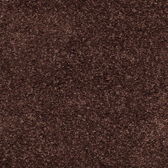 Brown Carpetify