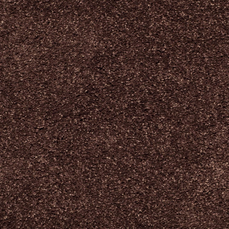 Brown Carpetify