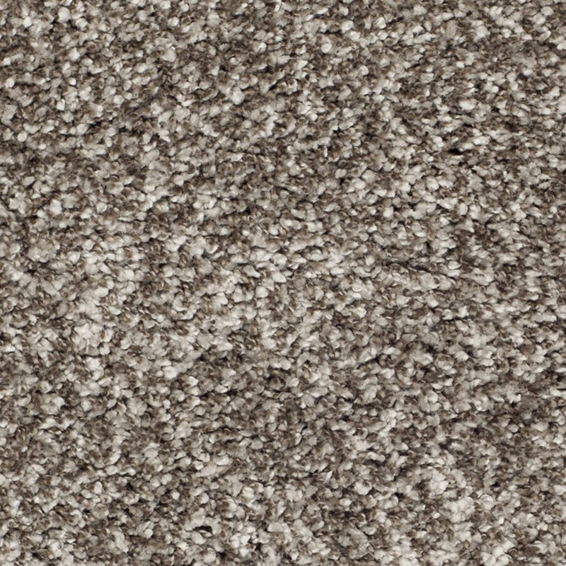 Grey Multi Carpetify
