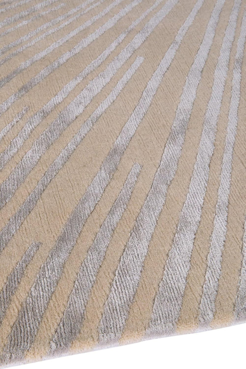 Sunray Carpetify