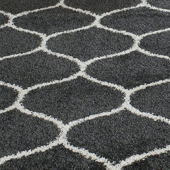 Modern Trellis Carpetify