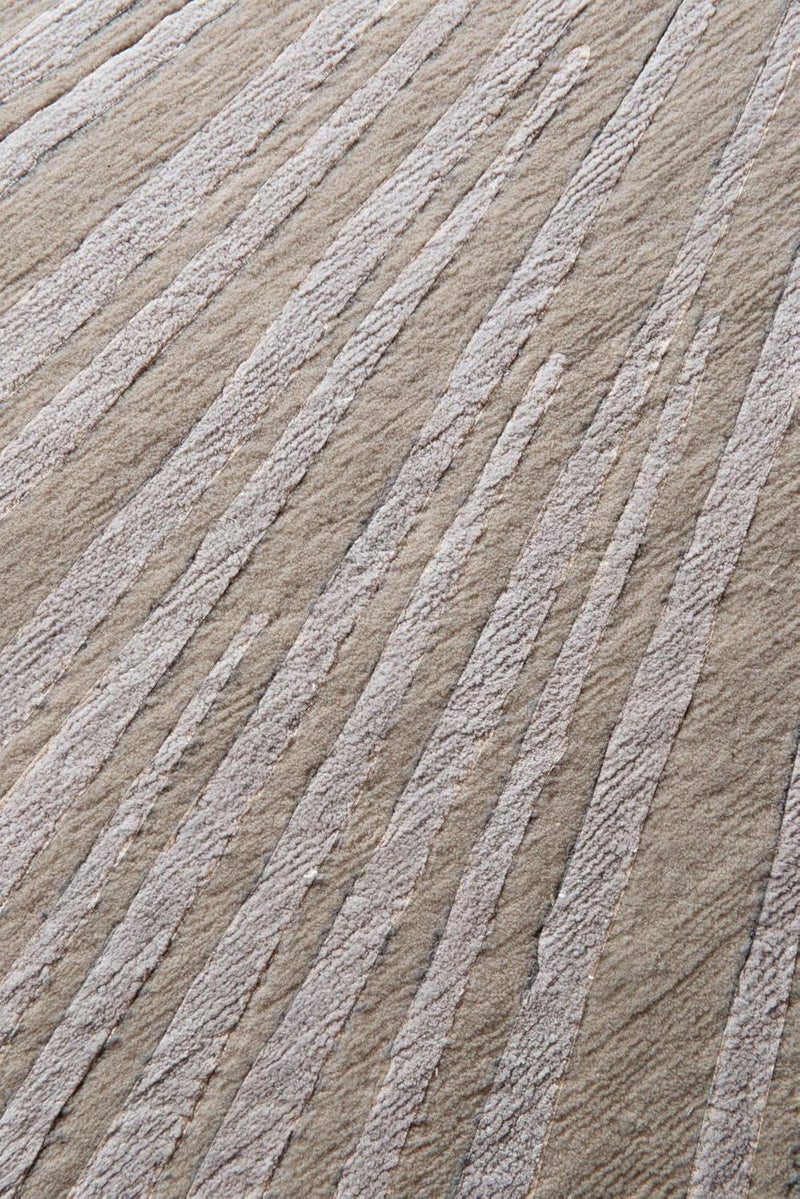 Sunray Carpetify