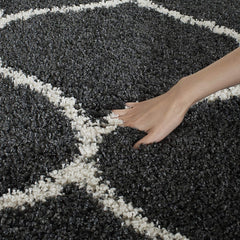 Modern Trellis Carpetify