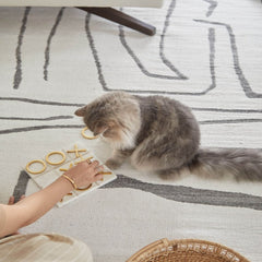 Minimal Reversible Rug