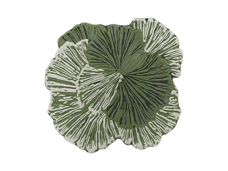 Chlorophyll Carpetify