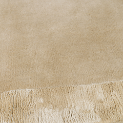 Silt neutral wool area rug styled in border view